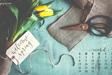 2015 Desktop Calendars