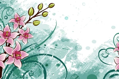 Pink Flowers HD Desktop Wallpapers : Widescreen : High Definition ...