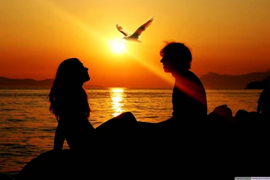 Romantic Tropical Lunch HD 16:9 16:10 Desktop Wallpapers ...