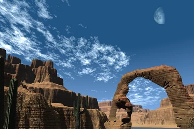 Wallpapers Wednesday » Negative99