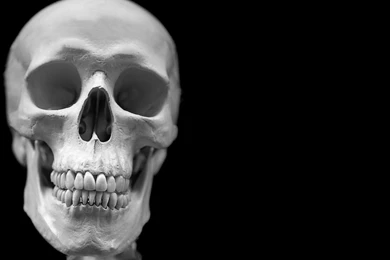 Wallpaper: Abstract, Skull, Creepy, Black Background, White Skull ...