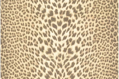 Roberto Cavalli Wallpapers Pantera SeriesFurniture From Italy