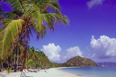 Free_beach_wallpaper_for_computers 5.jpg