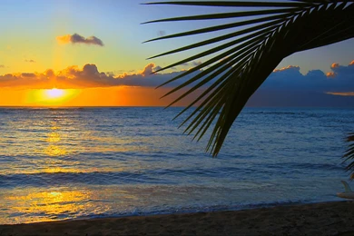 Download Download Beach Wallpapers Widescreen