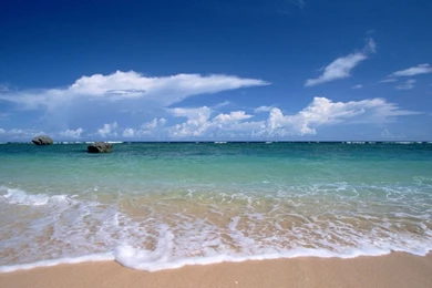 Download This Awesome Wallpapers   Wallpapers Cave