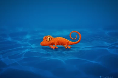 Theme Bin» Blog Archive » Gecko Wallpapers