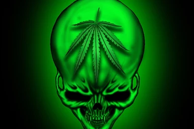 Smoke Weed Tumblr Gif Cool Backgrounds Wallpapers