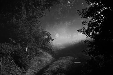 Black & White Computer Wallpapers, Desktop Backgrounds