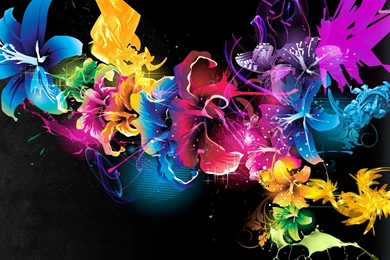 Multicolored Hibiscus Wallpapers   Digital Art Wallpapers