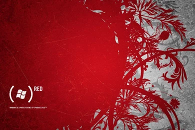 Red Bloom Windows HD Wallpapers Wallpapers   (