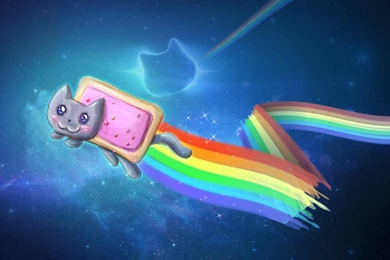 Nyan cat meme hd wallpapers   Cute Cat Wallpapers