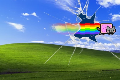 10+ Wallpapers You Must Have! ~ Tumblog it!