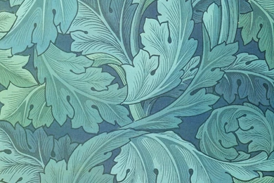 Acanthus Wallpapers