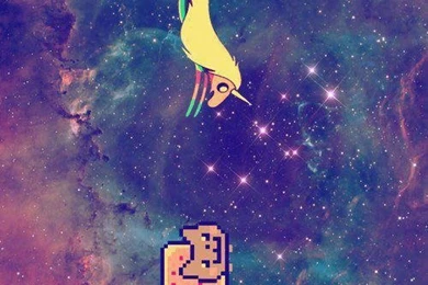 Lady Rainacorn Meets Nyan Cat   Image