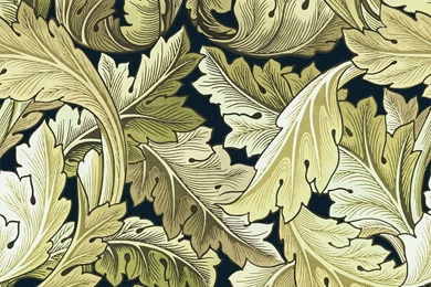 ACANTHUS Wallpapers Midnight / Ochre