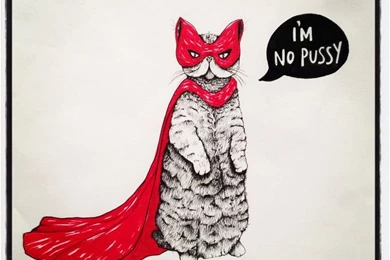 Super Cat Red Cape Illustration iPad Wallpapers HD