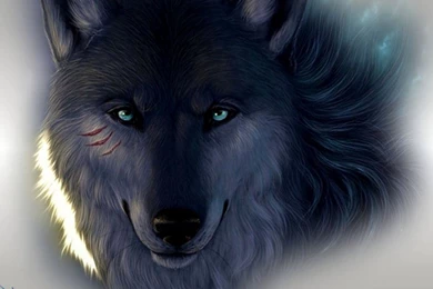 Wallpapers Wolves Screensavers Free Play Games And Send Ecards ...