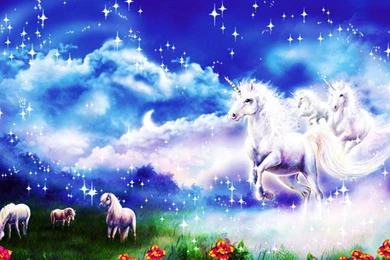 Spirit Of Unicorn   (