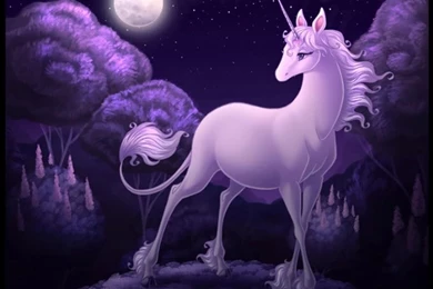 Unicorn Horse HD Wallpapers