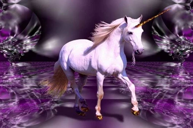 Wonderful Unicorn White Horse Fantasy Hd Wallpapers : Wallpapers13.com