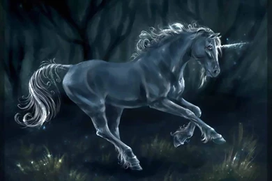 Unicorn Computer Wallpapers, Desktop Backgrounds