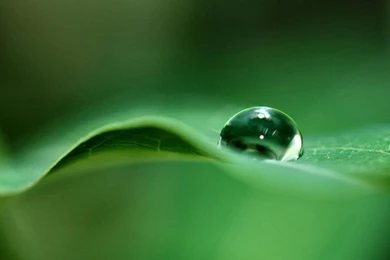 1366x768 Water Droplet Desktop PC And Mac Wallpapers