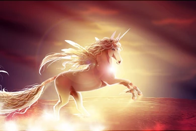 Unicorn Horse Magical Animal Te Wallpapers