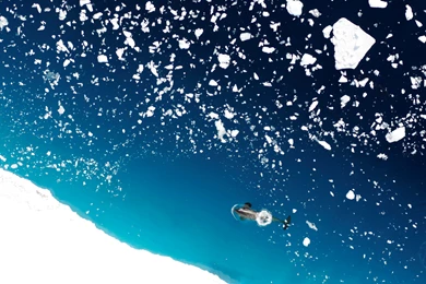 Blue Is Pretty Great. Here's A Ecclectic Collection Of Bluish ...