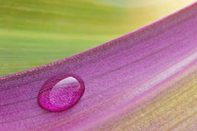 Photography Wallpapers Archives   UltraHdWall.Com