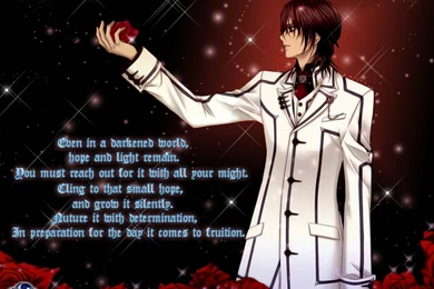 Vampire Knight   Vampire Knight Wallpapers (22659024)   Fanpop