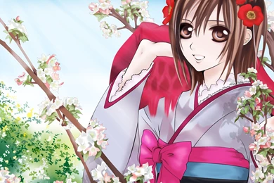 Yuuki Cross   The Girls Of Vampire Knight Wallpapers (21093954 ...