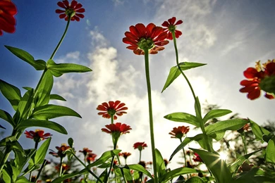 New Wallpapers   Free ~ My Mobile Zone   Read Reviews Of Latest ...