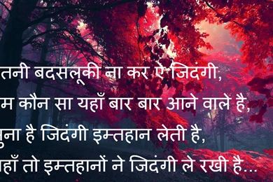 Rromantic Wallpapers Shayari,shayari Good Morning,latest Dard ...