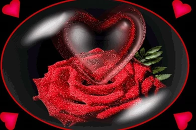 3D Love Heart Wallpapers 8 High Resolution Wallpapers Hdlovewall.com