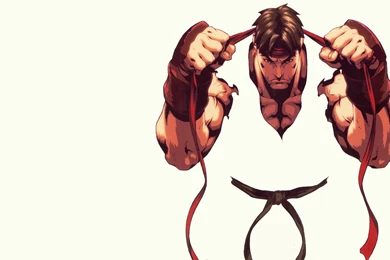 2662x3248 Street Fighter Photo