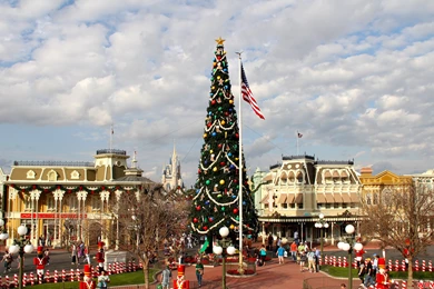 Main Street U.S.A.: The Magic Kingdom's Giant Christmas Tree!