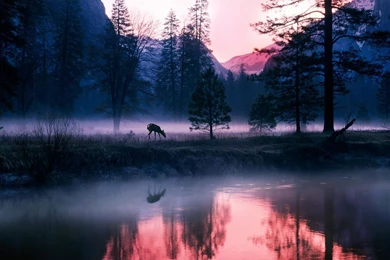 Yosemite National Park, Earth, Scenic, 1920x1080 HD Wallpapers And ...