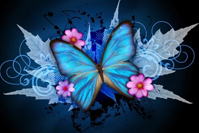 Cute Butterfly Wallpapers   HD Wallpapers Pretty