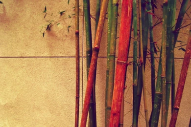 Hipster Photography Wallpaper Images