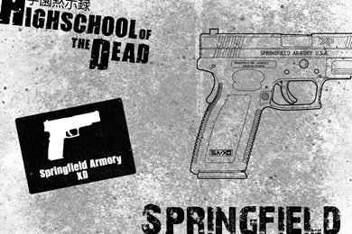 HOTD Springfield Armory XD By MasterChiefFox On DeviantArt