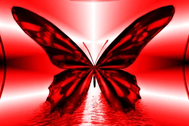 Red Butterfly Cool Backgrounds Wallpapers 7053 HD Wallpapers Site