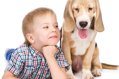 Dog Backgrounds, Best Friend, Wallpapers Of Dog, Download Dog ...