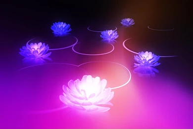 3D Lotus Honeycomb HD Wallpapers