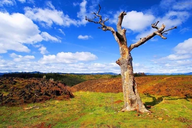 Free Full Hd Wallpapers HD Wallpapers Pretty