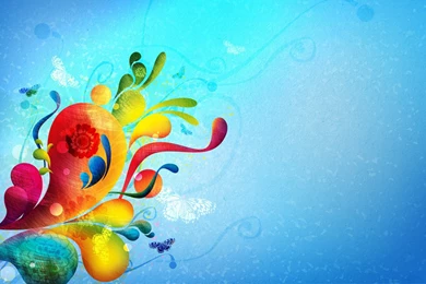 Butterfly Colors   Splendid Wallpapers HD