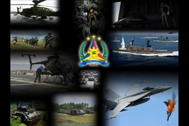 Jestingstock.com Philippine Army Logo Wallpapers