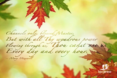 Desktop care bear image wallpaper.jpg