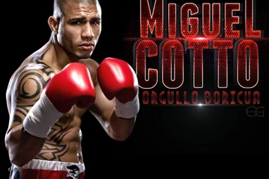 Kenlysotoingl3101n03 [licensed For Non commercial Use Only] / Risk ...