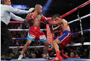 Boxing Results: Miguel Cotto Revives Career With A TKO Win ...