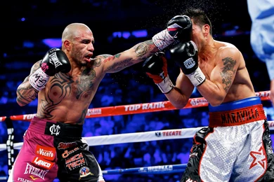 Miguel Cotto Greatest Hits